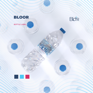 Bloor Bottle